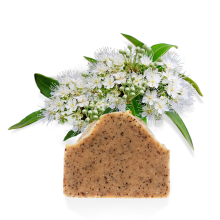 kalimna_960x1190_lemon_02