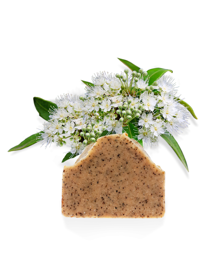 kalimna_960x1190_lemon_02